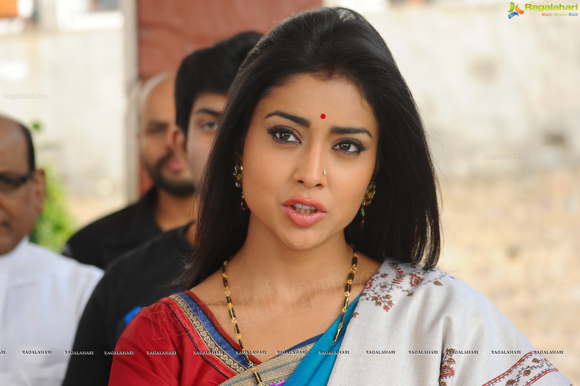 Shriya Saran (High Definition)