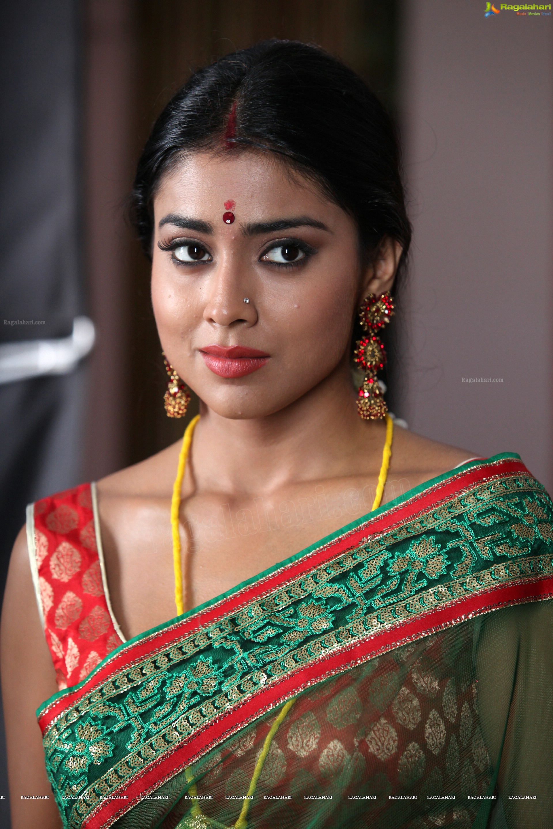 Shriya Saran (High Definition)