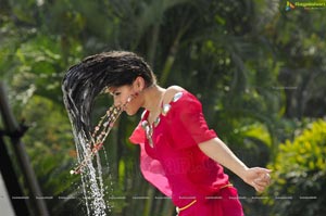Taapsee Veera High Definition Wallpapers