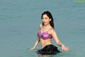 Tamanna Hot Photos from Rebel