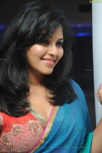 Tamil Actress Anjali in Saree
