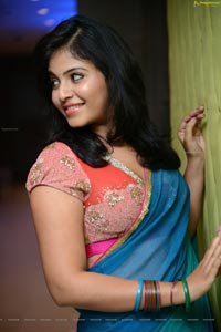 Tamil Actress Anjali in Saree