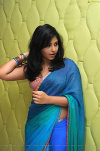 Tamil Actress Anjali in Saree