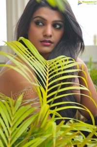 Tashu Kaushik Exclusive Shoot