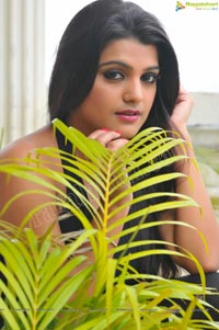 Tashu Kaushik Exclusive Shoot