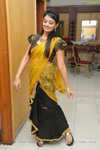 Nikitha Narayan at Varna Audio Release