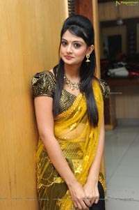 Nikitha Narayan at Varna Audio Release