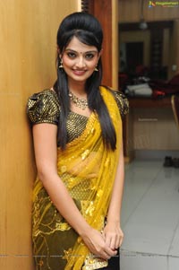 Nikitha Narayan at Varna Audio Release