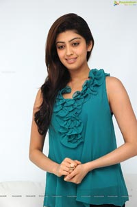 Pranitha Subhash High Quality Photos