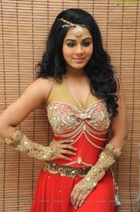 Rachana Maurya at Varna Audio Release