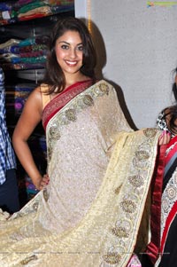 Richa Gangopadhyay Hot Saree Photos