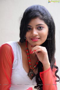 Telugu Heroine Bindu