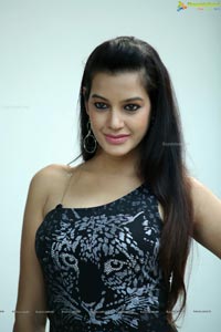 Beautiful Diksha Panth Photos