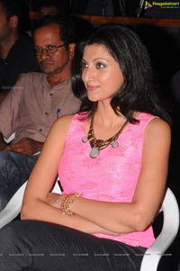 Hamsa Nandini in Bhai