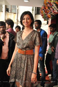 Hamsa Nandini