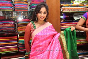 Madhavilatha in Saree