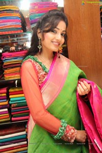 Madhavilatha in Saree