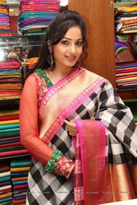 Madhavilatha in Saree