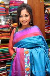 Madhavilatha in Saree