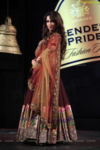 Malaika Arora Khan at Blenders Pride Fashion Tour 2013