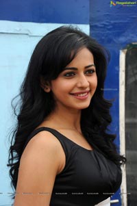 Yennamo Yedho Heroine Rakul Preet Singh