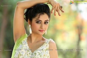 Tollywood Actress Madirakshi Mundle