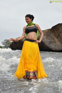 Daksha Nagarkar