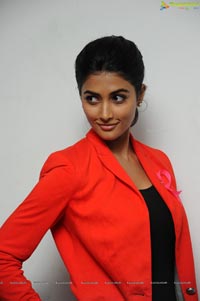 Pooja Hegde @ 100 Lailas Event