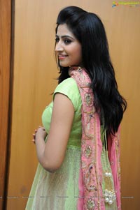 Shamili