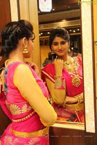 Shamili