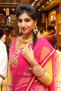 Shamili