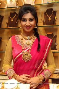 Shamili