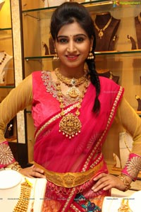 Shamili