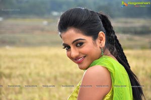 Heroine Shruthi Raj