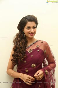 Hamsa Nandini