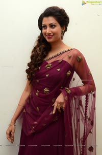 Hamsa Nandini