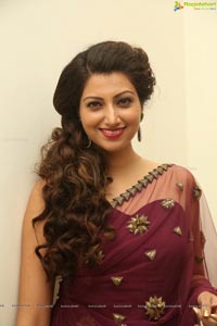 Hamsa Nandini