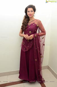 Hamsa Nandini