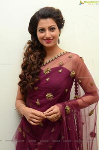 Hamsa Nandini