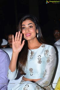 Sonal Chauhan in Sher Audio