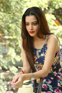 Diksha Panth Photos