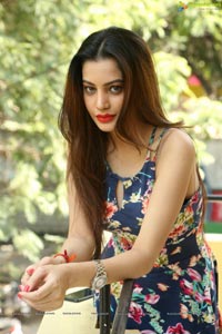 Diksha Panth Photos