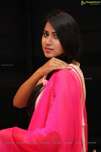 Harathi Honey Hyderbad Model