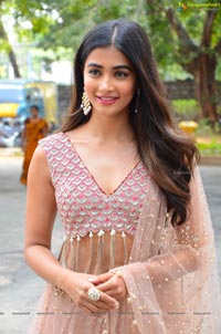 Pooja Hegde