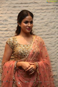 Vunnadhi Okate Zindagi Lavanya Tripathi