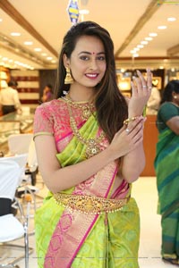 Ameeksha Pawar @ Chandana Brothers Dasara Collection Launch