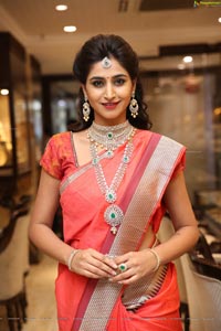 Shamili Manepally Jewellers Utsavi Collection Launch