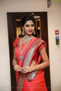 Shamili Manepally Jewellers Utsavi Collection Launch