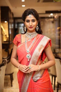 Shamili Manepally Jewellers Utsavi Collection Launch