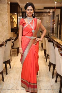 Shamili Manepally Jewellers Utsavi Collection Launch